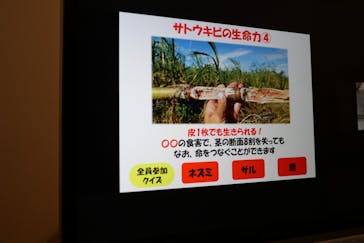 オルタナティブファーム宮古に投稿された画像（2021/1/23）