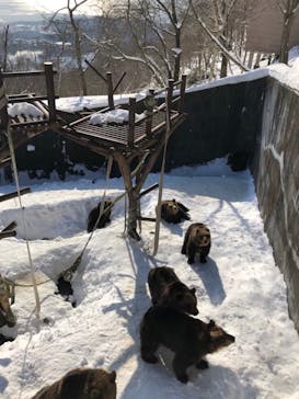 のぼりべつクマ牧場に投稿された画像（2021/1/23）