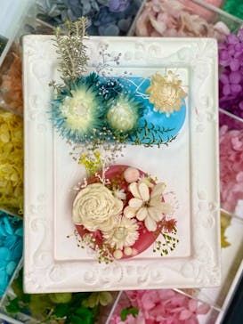 ずこうしつ〜sugamo〜に投稿された画像（2021/1/23）