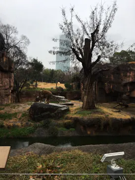 天王寺動物園に投稿された画像（2021/1/23）