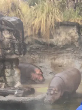 天王寺動物園に投稿された画像（2021/1/23）