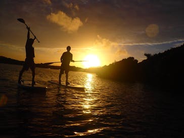 宮古島 ADVENTURE PiPi（ミヤコジマ アドベンチャー ピピ）に投稿された画像（2021/1/23）