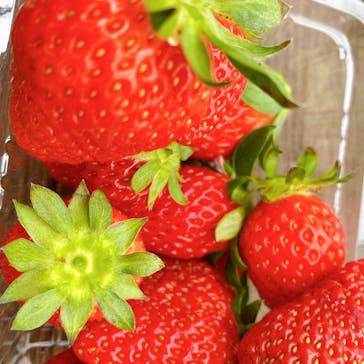 井上寅雄農園に投稿された画像（2021/1/23）