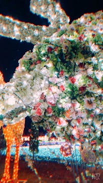 東武動物公園に投稿された画像（2021/1/23）