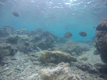 武藤潜水に投稿された画像（2021/1/24）