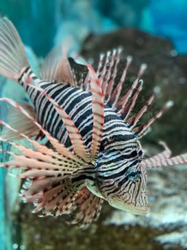 株式会社Gに投稿された画像（2021/1/24）