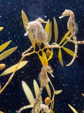 株式会社Gに投稿された画像（2021/1/24）