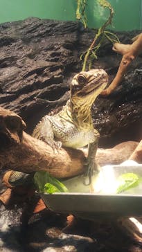 サンシャイン水族館に投稿された画像（2021/1/24）