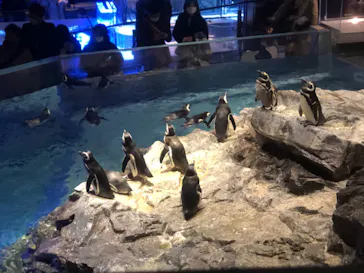 すみだ水族館に投稿された画像（2021/1/24）