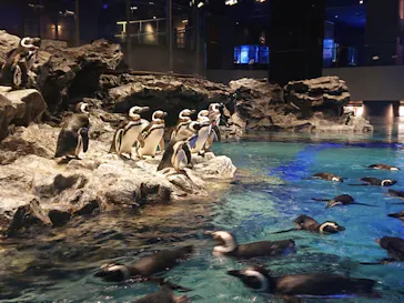 すみだ水族館に投稿された画像（2021/1/24）