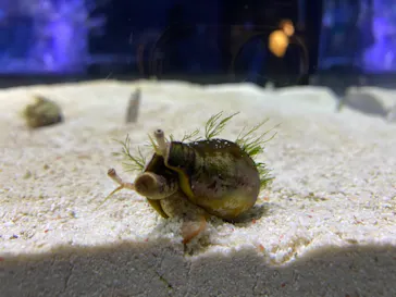 すみだ水族館に投稿された画像（2021/1/24）