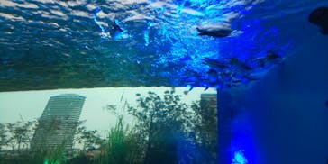 サンシャイン水族館に投稿された画像（2021/1/24）