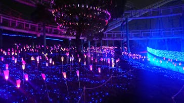 ひらかたパークに投稿された画像（2021/1/24）