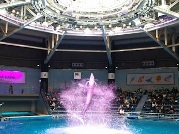 マクセル アクアパーク品川に投稿された画像（2021/1/24）