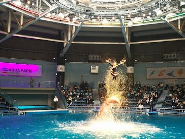 マクセル アクアパーク品川に投稿された画像（2021/1/24）