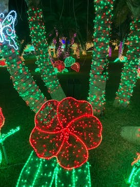 美らヤシパークオキナワ・東南植物楽園に投稿された画像（2021/1/24）