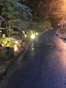 アソビュー株式会社　150881に投稿された画像（2021/1/25）