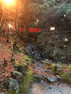 アソビュー株式会社　150881に投稿された画像（2021/1/25）