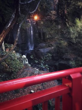 アソビュー株式会社　150881に投稿された画像（2021/1/25）