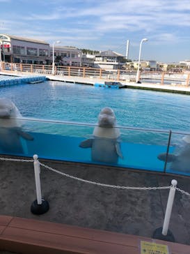 横浜・八景島シーパラダイスに投稿された画像（2021/1/25）