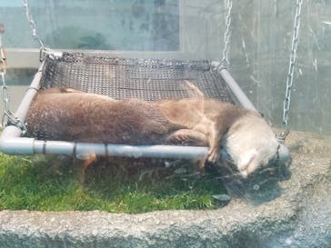 サンシャイン水族館に投稿された画像（2021/1/25）