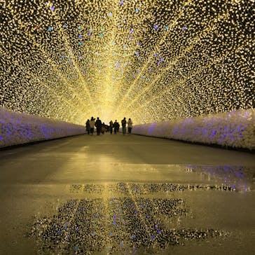 なばなの里に投稿された画像（2021/1/25）