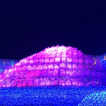 なばなの里に投稿された画像（2021/1/25）