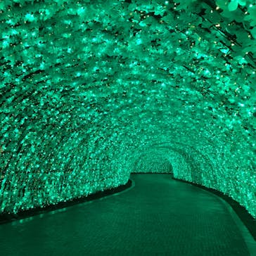 なばなの里に投稿された画像（2021/1/25）