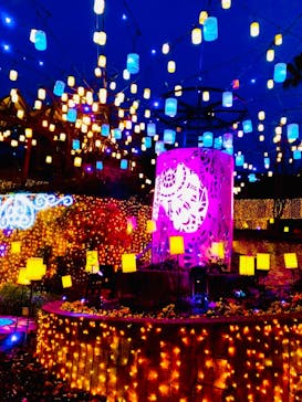 ひらかたパークに投稿された画像（2021/1/25）