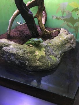 サンシャイン水族館に投稿された画像（2021/1/25）