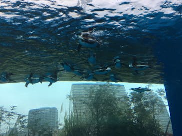 サンシャイン水族館に投稿された画像（2021/1/25）