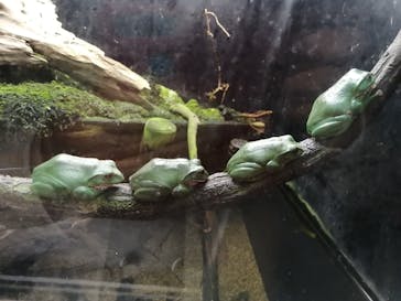 株式会社Gに投稿された画像（2021/1/25）