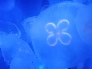 株式会社Gに投稿された画像（2021/1/25）