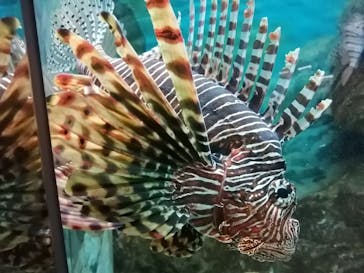 株式会社Gに投稿された画像（2021/1/25）