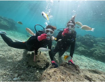 DIVING-SHOP SUNSに投稿された画像（2021/1/26）