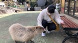 伊豆シャボテン動物公園に投稿された画像（2021/1/26）