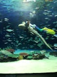 サンシャイン水族館に投稿された画像（2021/1/26）