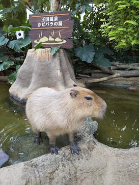 神戸どうぶつ王国に投稿された画像（2021/1/26）