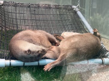 サンシャイン水族館に投稿された画像（2021/1/27）