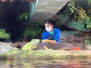 サンシャイン水族館に投稿された画像（2021/1/27）