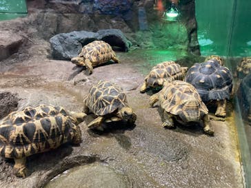 サンシャイン水族館に投稿された画像（2021/1/27）