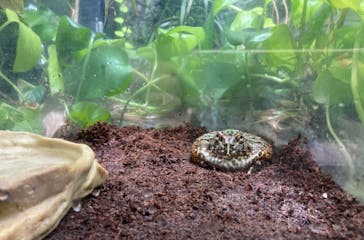 サンシャイン水族館に投稿された画像（2021/1/27）