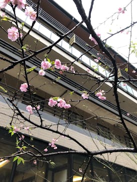 箱根湯本温泉 天成園に投稿された画像（2021/1/27）