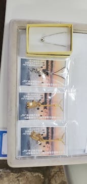 真珠工房 真珠の里に投稿された画像（2021/1/27）