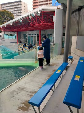 しながわ水族館に投稿された画像（2021/1/27）