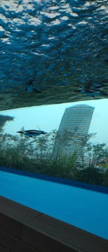 サンシャイン水族館に投稿された画像（2021/1/28）