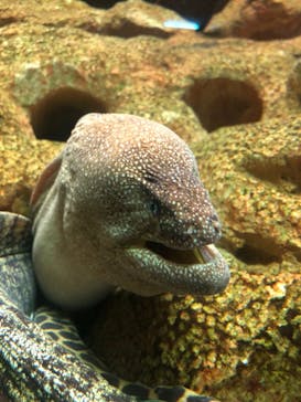 株式会社Gに投稿された画像（2021/1/28）