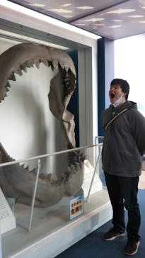 株式会社Gに投稿された画像（2021/1/28）