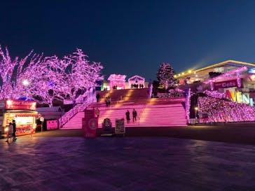 よみうりランド 遊園地に投稿された画像（2021/1/28）