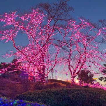 よみうりランド 遊園地に投稿された画像（2021/1/28）